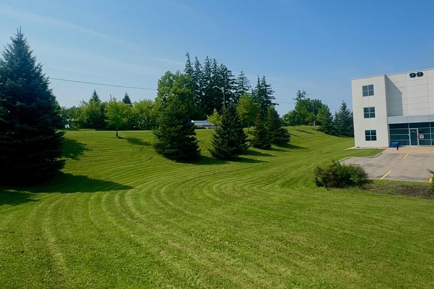 Freshly mowed lawn with curved mowing stripes sweeping across a landscaped property in Brantford, Ontario, evergreen trees along the ridge and a planted bed beside the parking area.