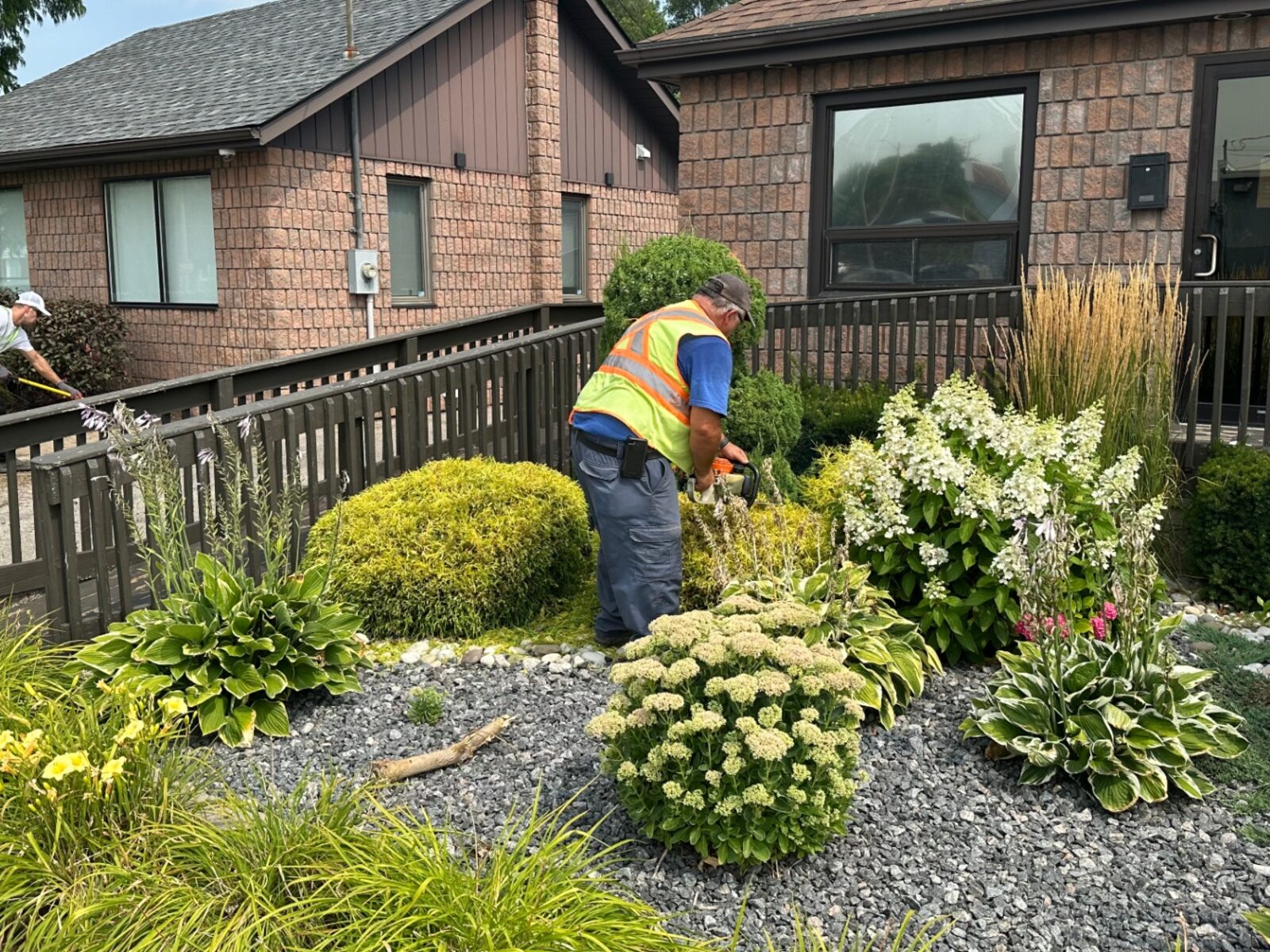 Two crew members trimming shrubs and hedges in a gravel-mulched commercial garden bed in Brantford.