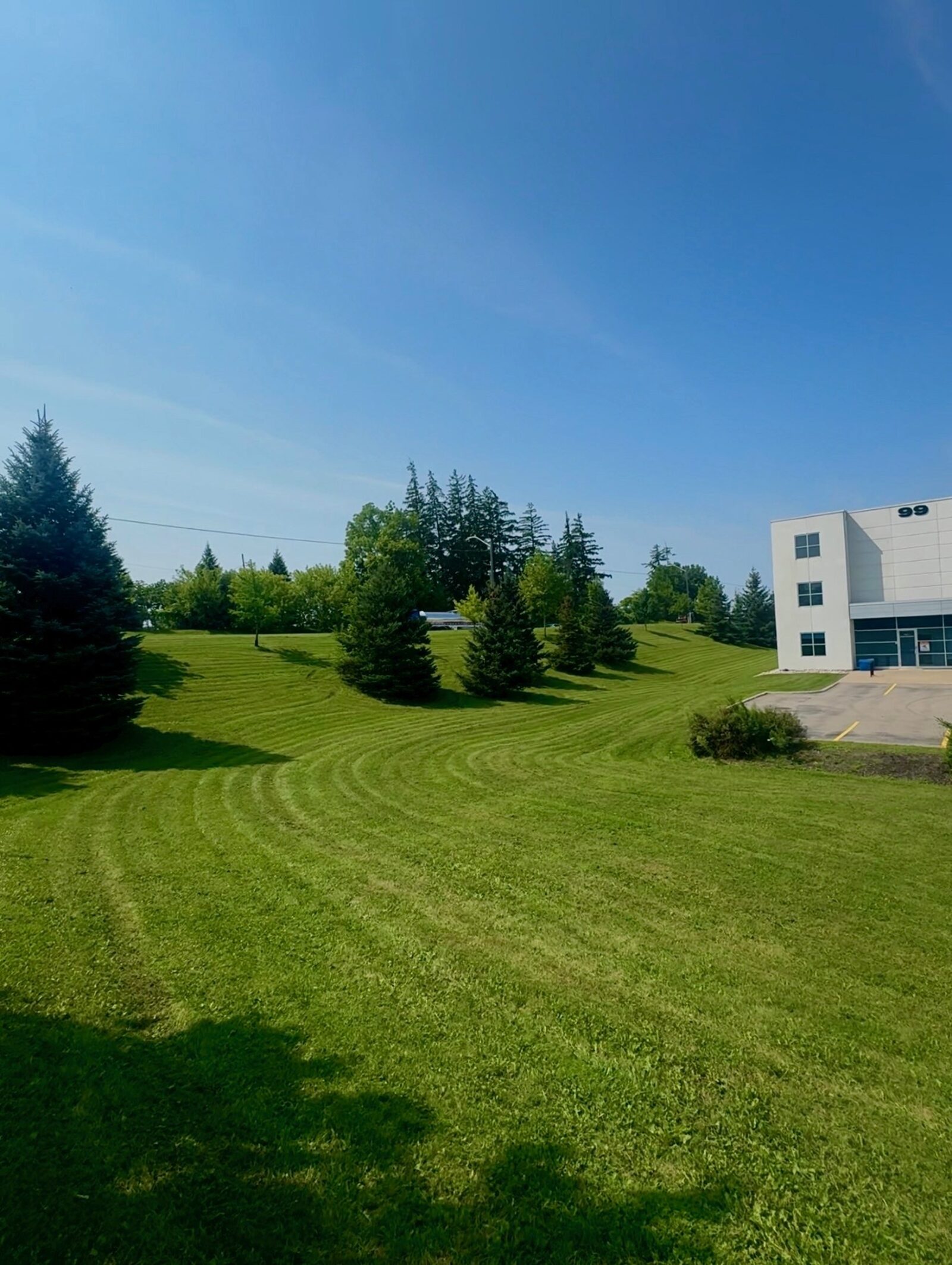 Wide freshly mowed lawn with curved striping patterns beside a commercial building in Brantford, Ontario.
