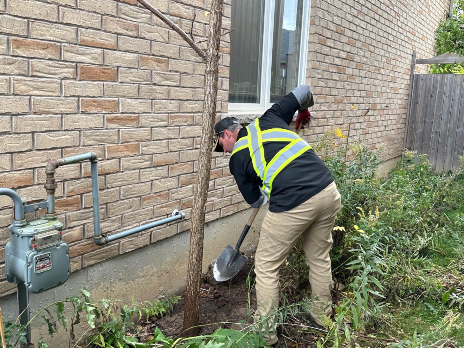 Crew member digging out weeds and overgrown plants from a narrow side-yard bed beside a brick house.