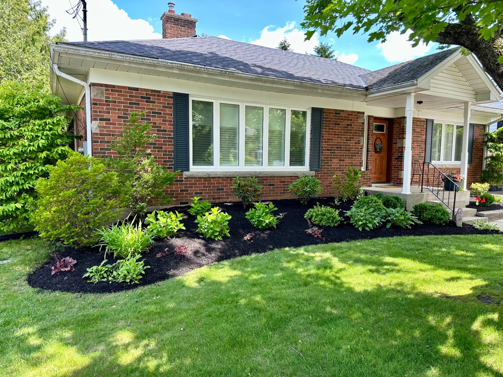 Front garden bed at a brick bungalow planted with hydrangeas, hostas and heuchera and finished with fresh black mulch.