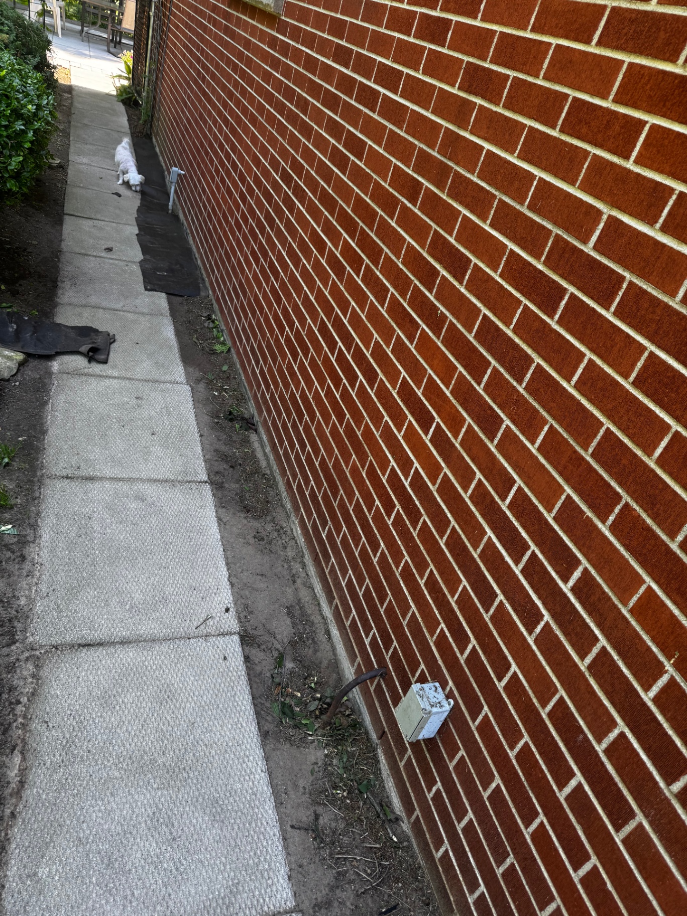 Narrow side-yard walkway before work with bare soil and landscape fabric beside a brick wall.