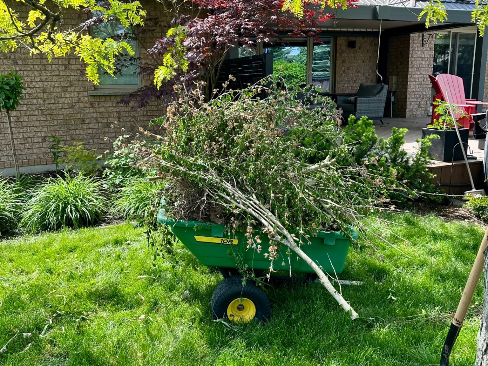 Green garden cart loaded with shrub and tree trimmings in front of a bungalow with Japanese maple.
