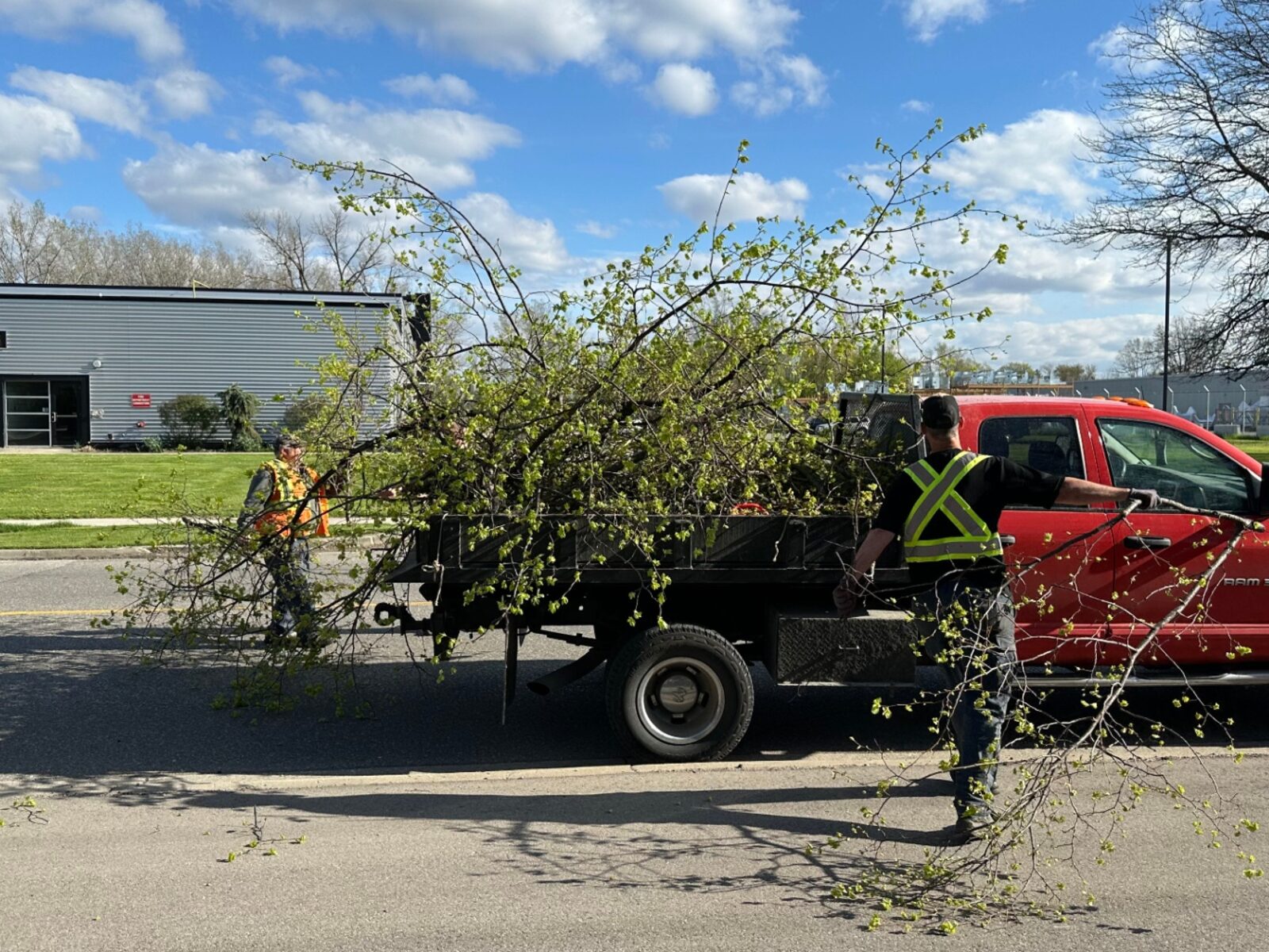 Crew loading tree branches and brush onto a red dump truck outside a commercial building.