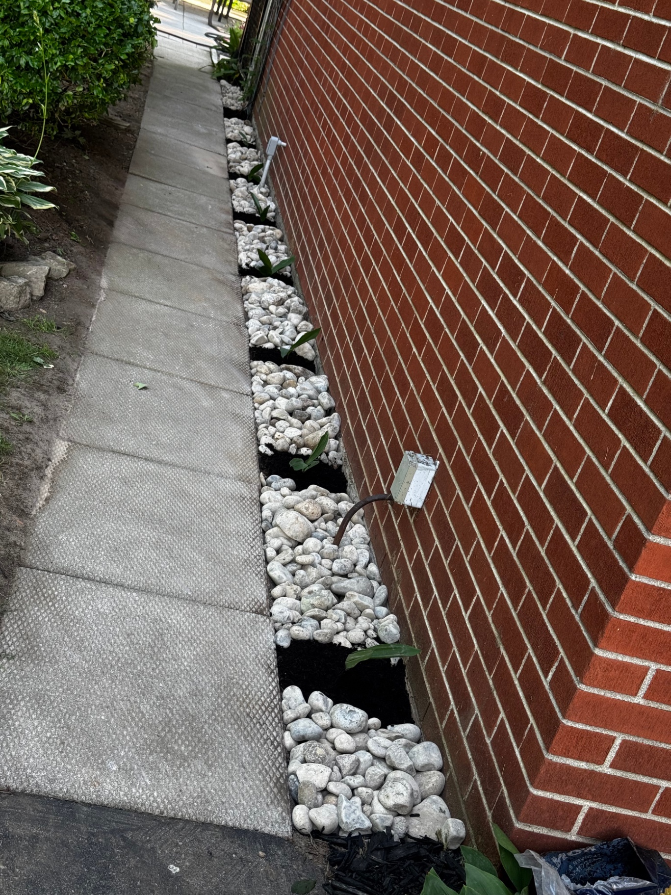 Narrow side-yard bed finished with white river rock, black mulch and new plantings against a brick wall.