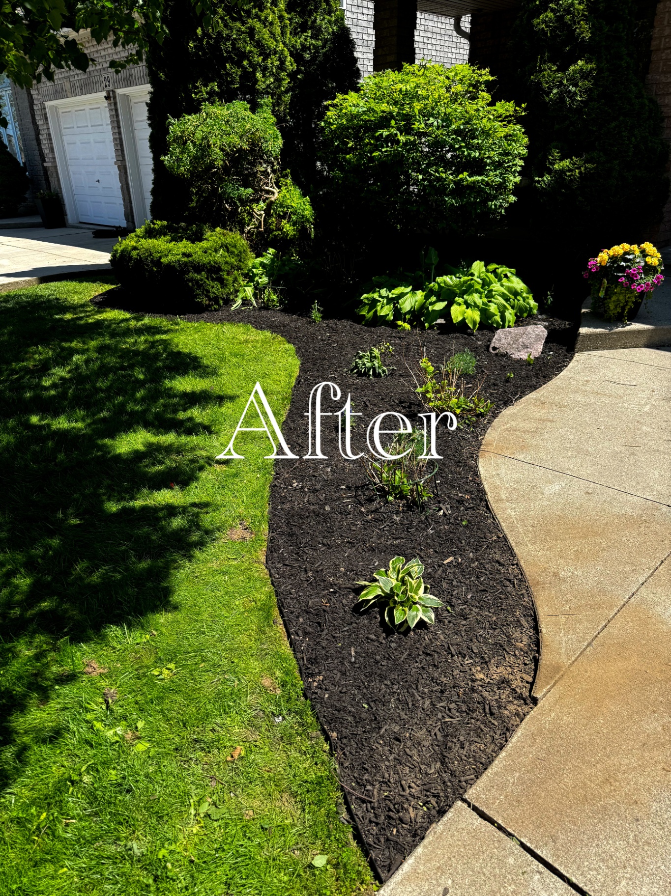 Front bed re-cut, shrubs pruned and finished with fresh black mulch.