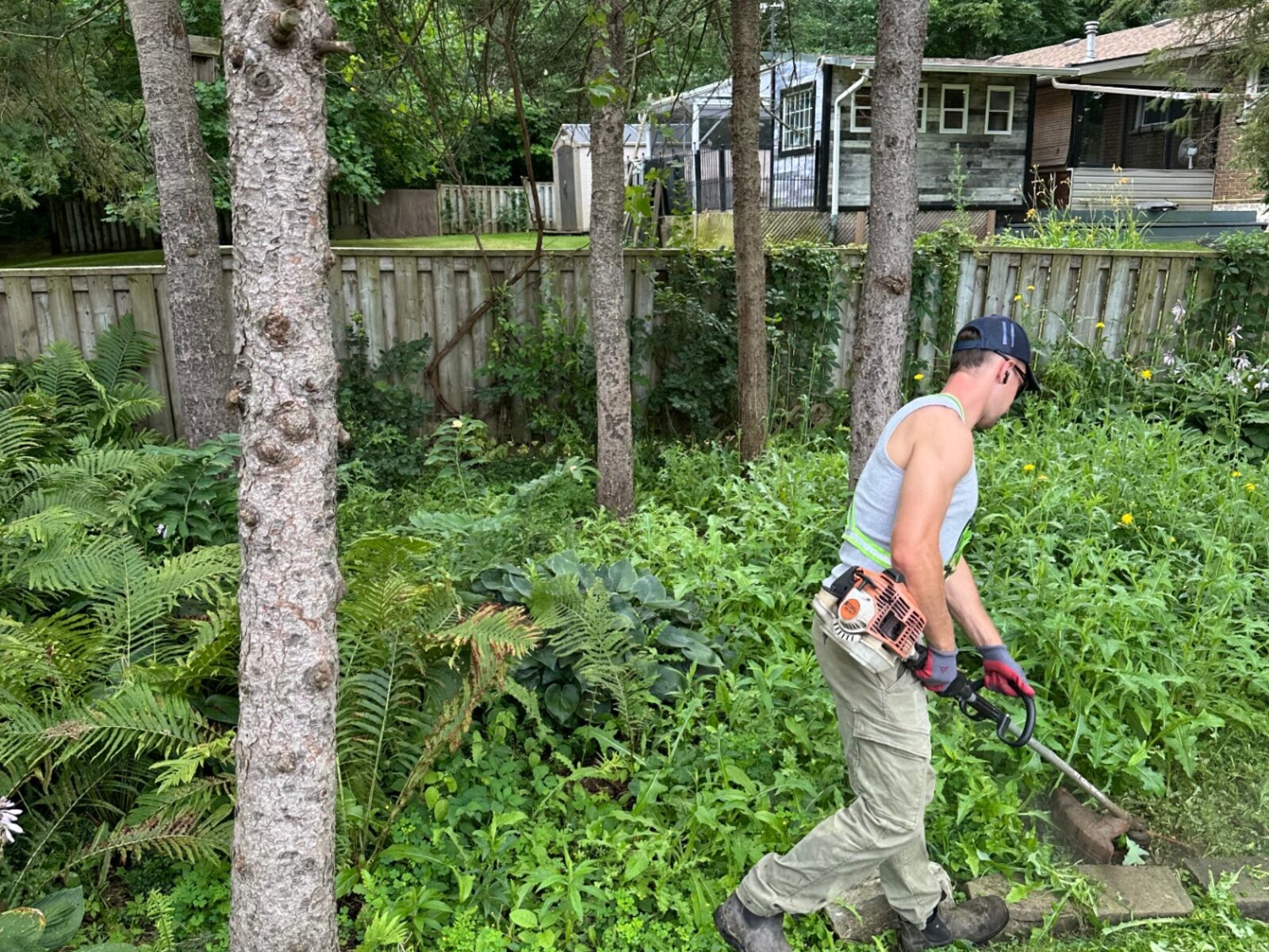 Worker using a string trimmer to cut back heavy overgrowth in a shaded backyard garden.