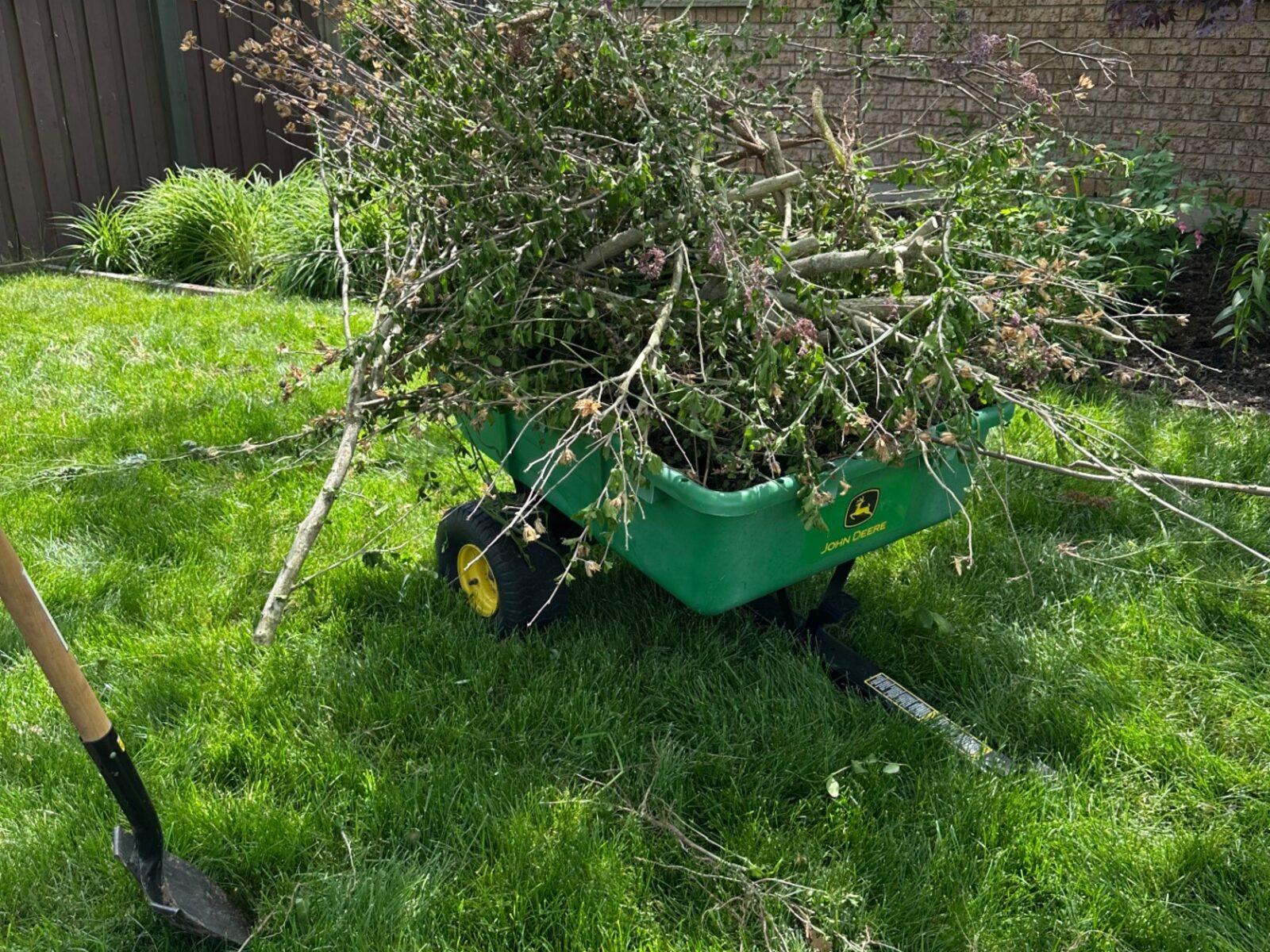 Garden cart piled high with pruned branches and yard waste on a freshly cut backyard lawn.