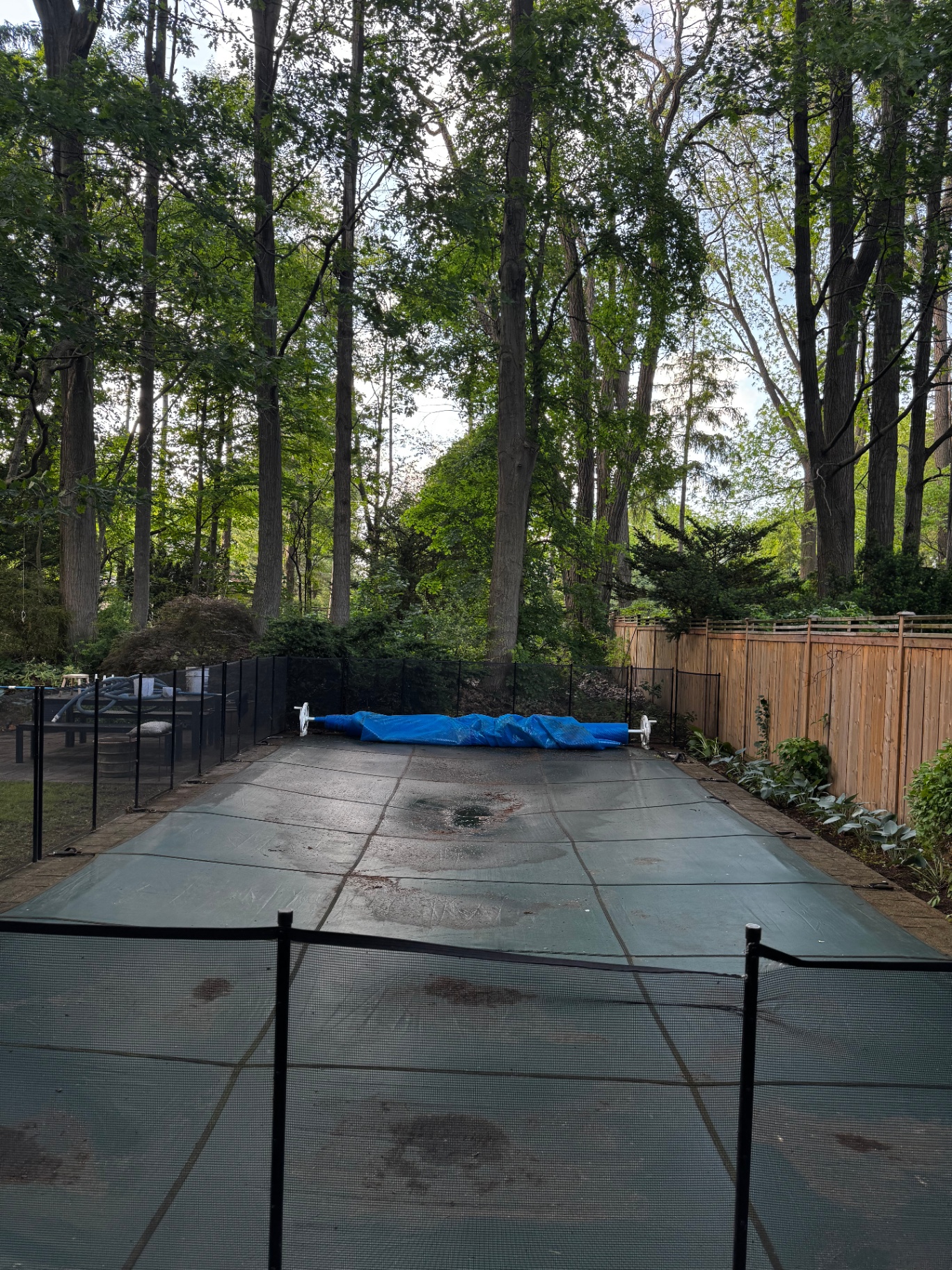 Pool cover cleared of leaves and debris after a backyard cleanup, safety fence in place.